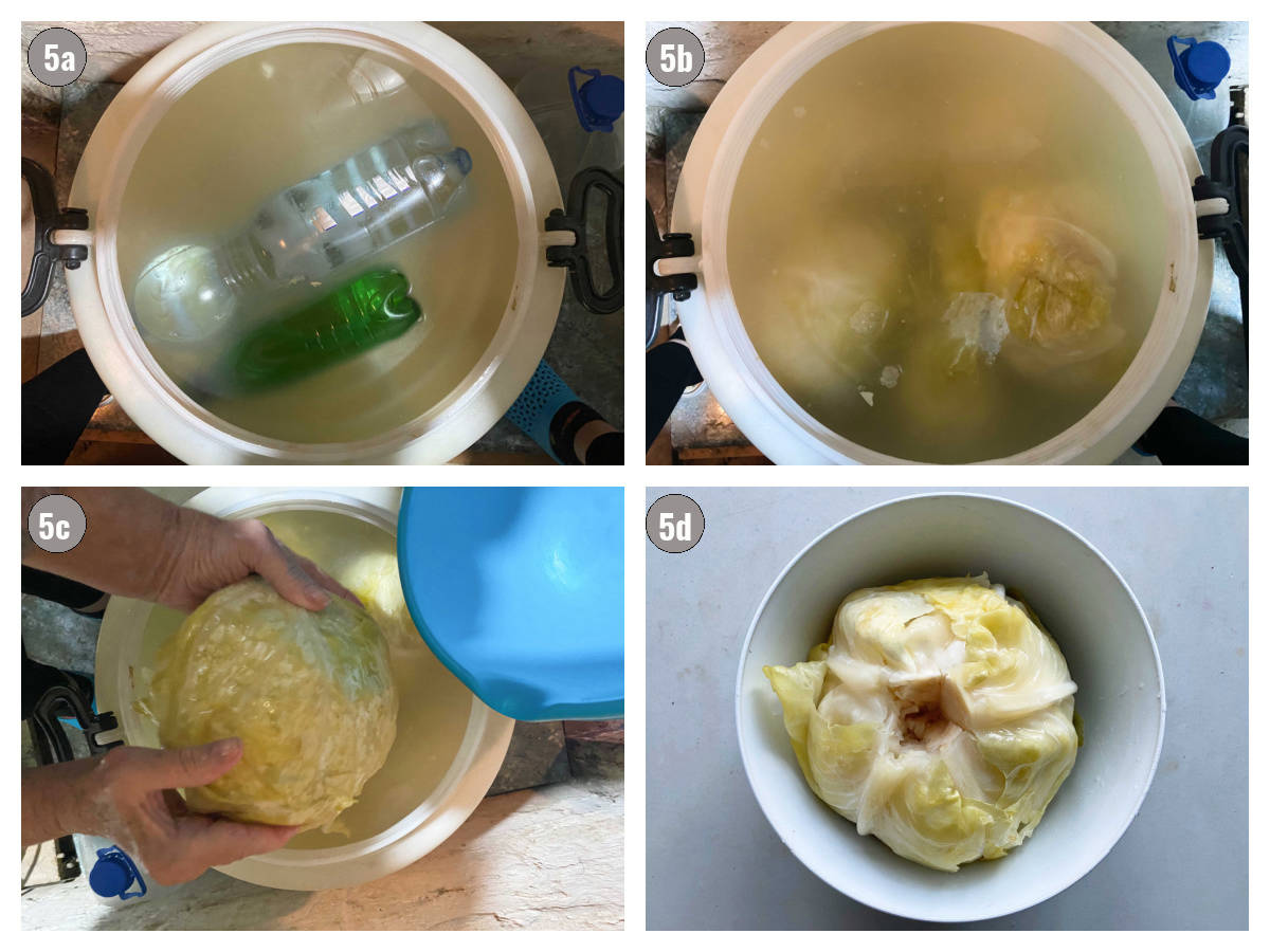 Four photographs, two by two, of barrel being opened: first photo bottles on top, second photo brine, third photo hands holding a sour cabbage head, fourth photo cabbage head in bowl. 