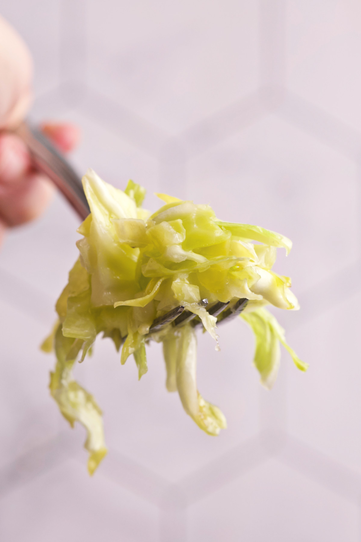 A hand holding a forkful of cabbage salad.