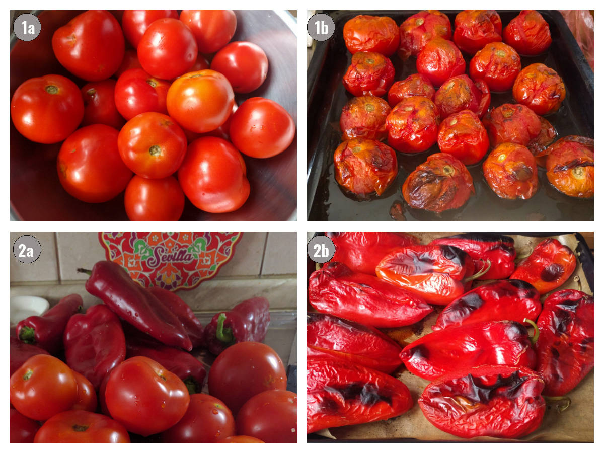 Four photographs, two by two, of tomatoes and peppers.