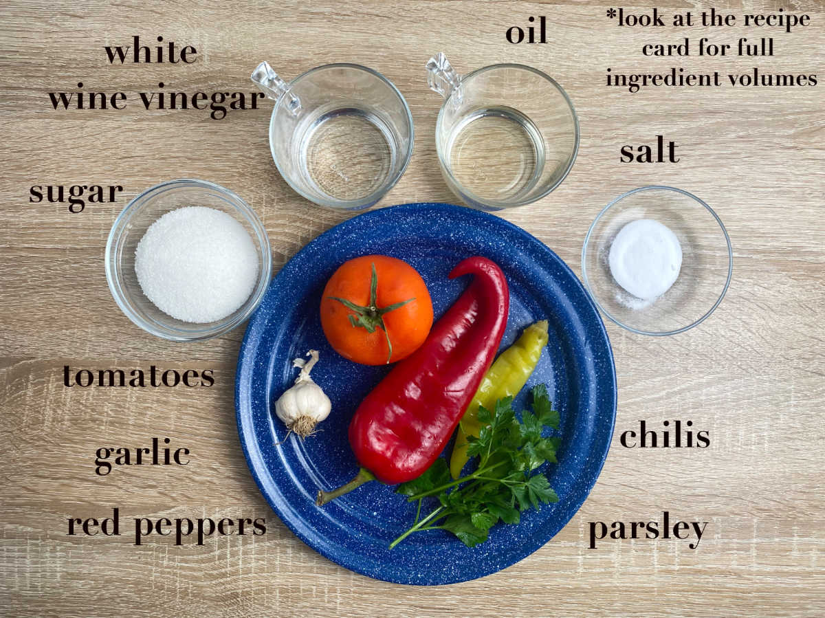 Overhead photo of ingredients on a table: vinegar, sugar, salt, pepper, garlic, chili, tomatoes, and oil.