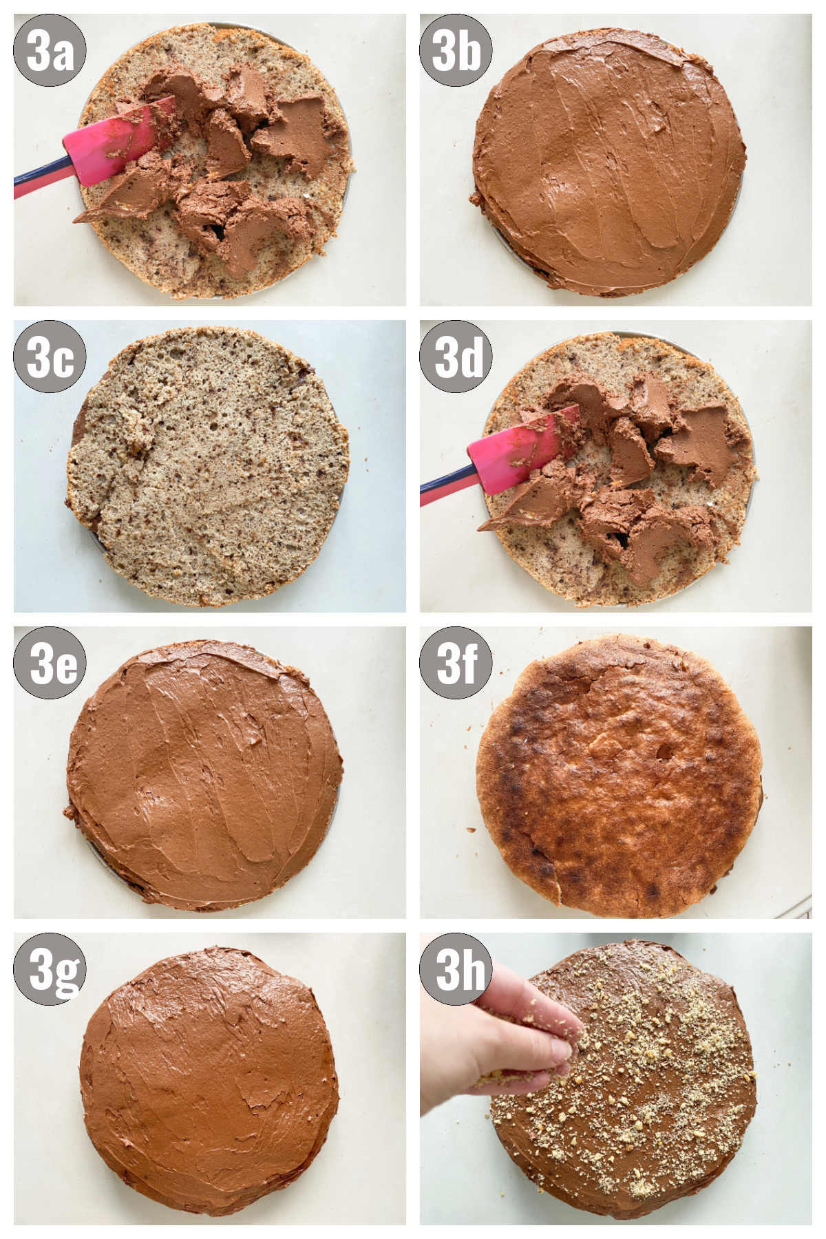 Eight photos, two by four, of the cake biscuit and cake filling combined into a cake.