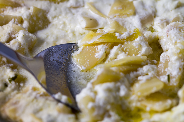 Let's venture to the side not prepared often enough - velvety, baked Romano beans. Lush, wide and flat beans quartered and softened, then baked with heavy cream-plus-garlic topping.  Striking.