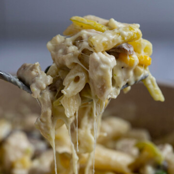 A forkful of cheesy pasta.