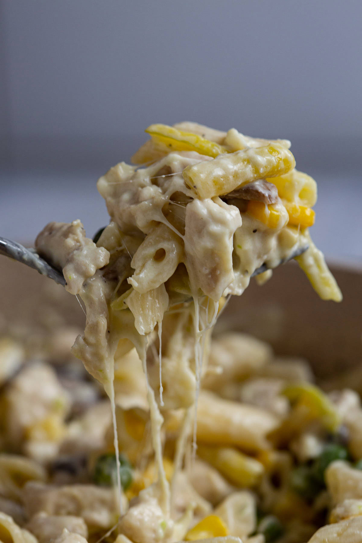 A forkful of cheesy pasta. 