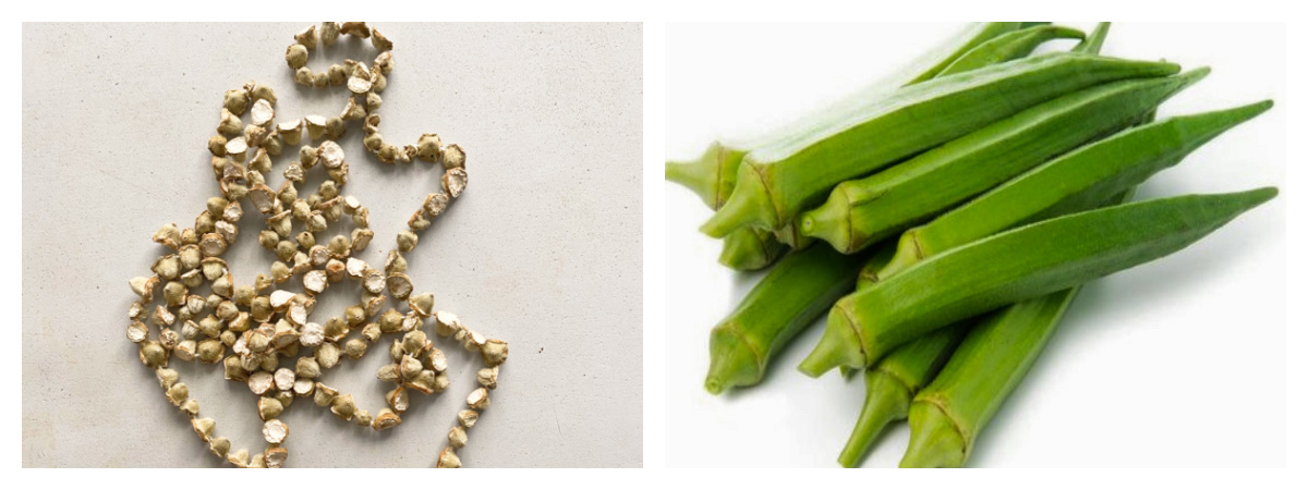 Two photos side by side of dry okra (left) on a thread and fresh okra (right) on light backgrounds.