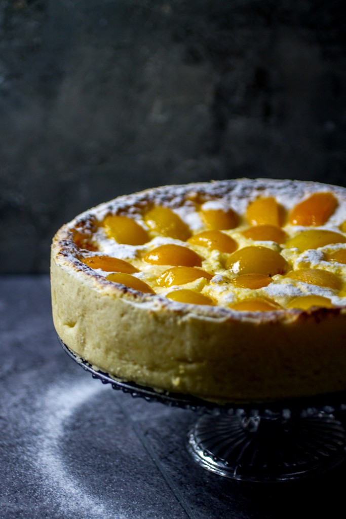 apricot cheesecake, cheesecake, apricots | balkanlunchbox.com