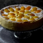 apricot cheesecake, cheesecake, apricots | balkanlunchbox.com