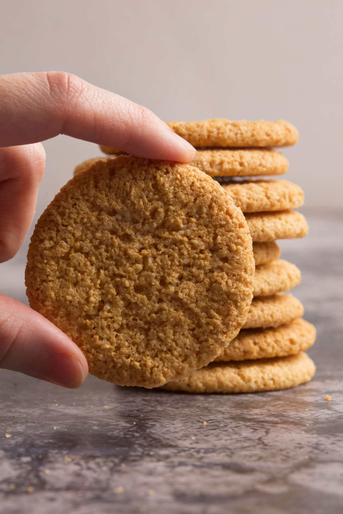 A hand holding a cookie and several in the background.